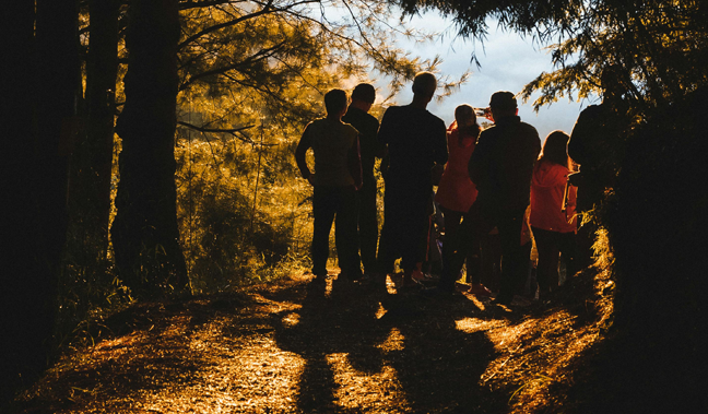 En bild på flera personer i en dunge, i skogen, som tittar ut över havet.
